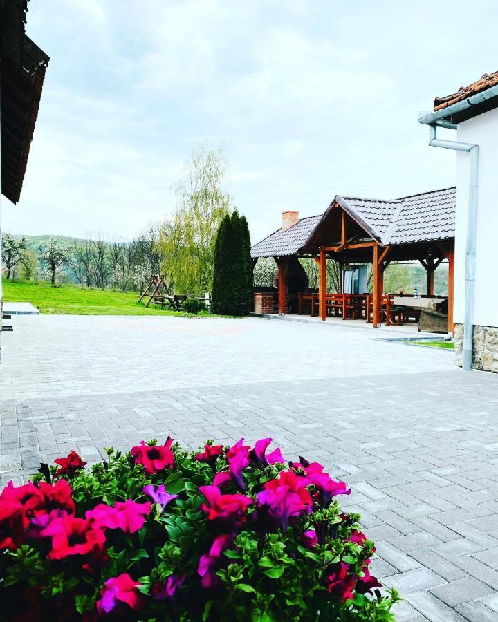 Pensiunea Turistica Retreat Belvedere Vadu Crisului Exterior photo