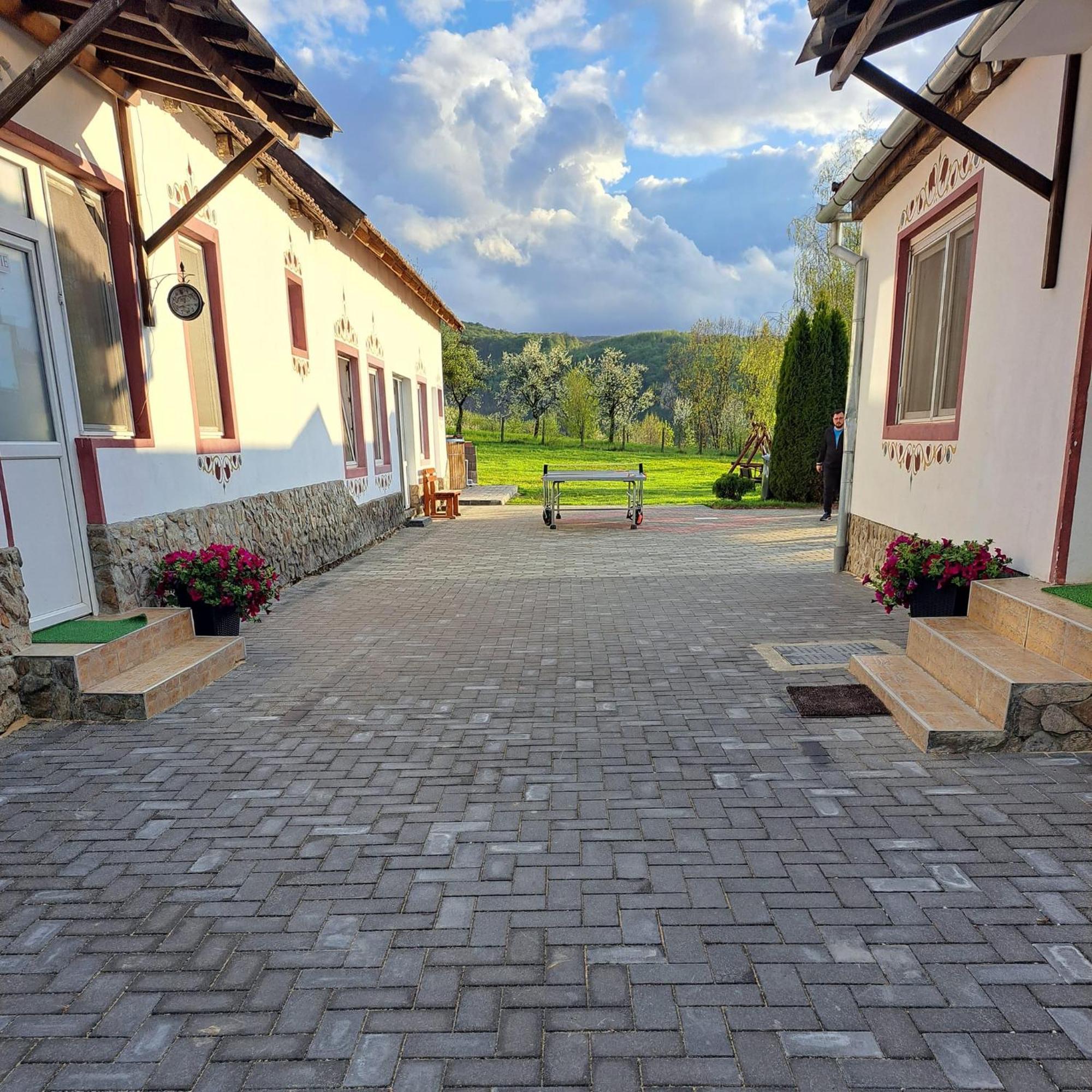 Pensiunea Turistica Retreat Belvedere Vadu Crisului Exterior photo